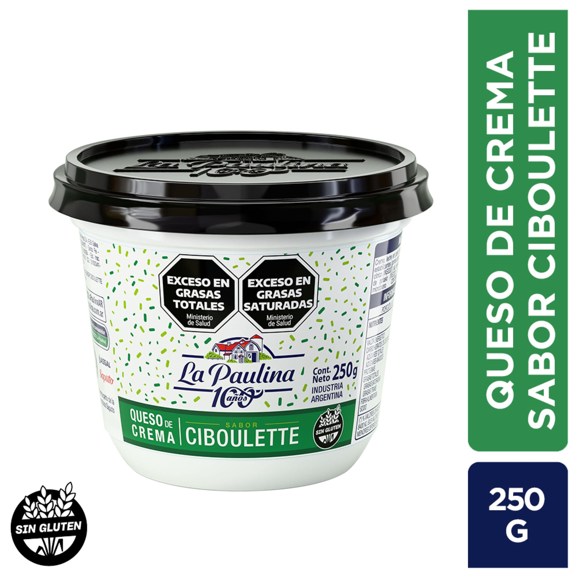 La Paulina queso crema sabor ciboulette 250 grs