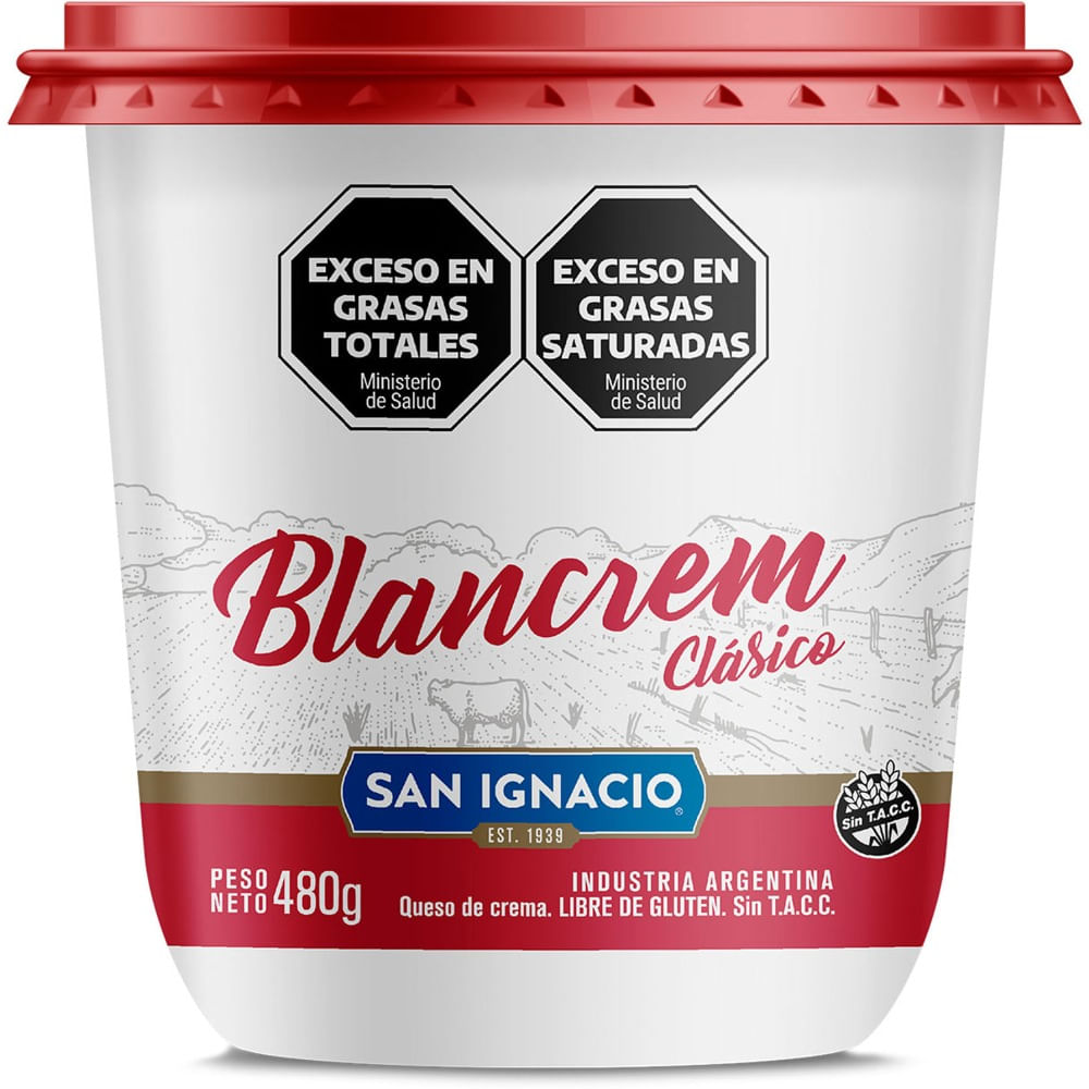 Queso crema entero San ignacio en pote 480 g