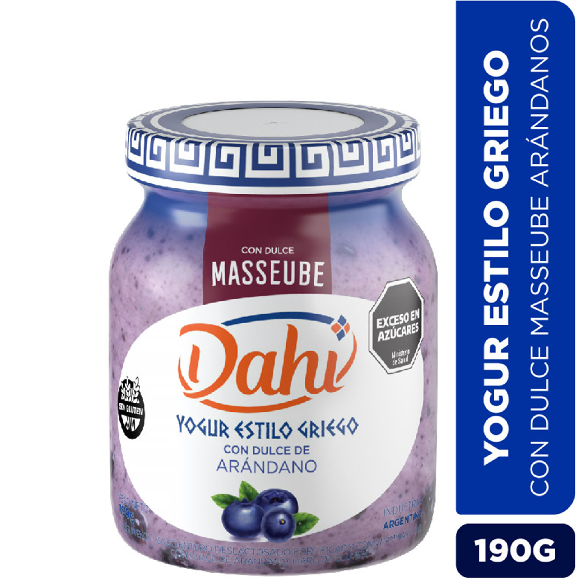 Yogur griego Dahi con dulce de arándano 190 grs