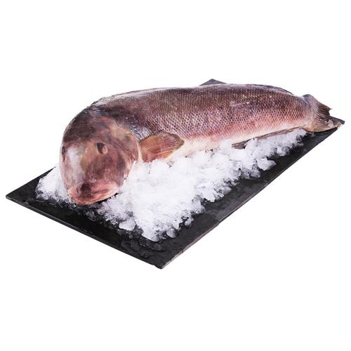 Salmon Blanco Entero Eviscerado Fresco X Kg