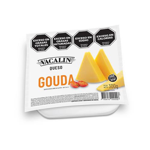 Queso Gouda Vacalin Paq 300 Grm
