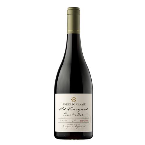Vino Pinot Noir Old Vineyard HUMBERTO CANALE Bot 750 Ml