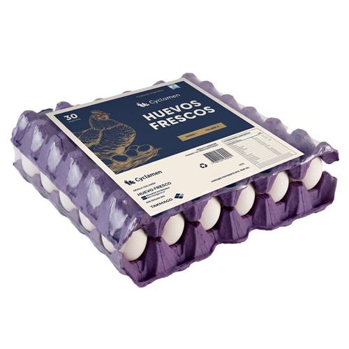Huevo blanco grande maple CYCLAMEN 30u