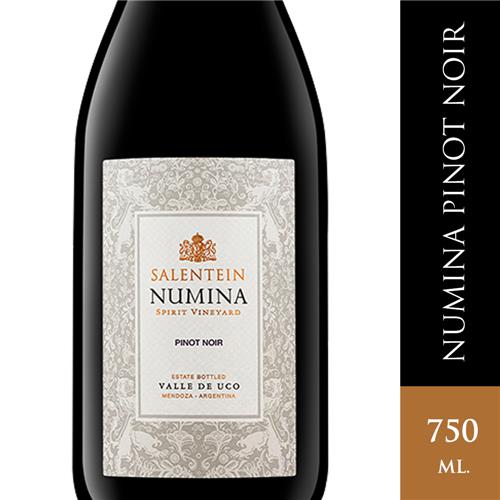 Vino Pinot Noir NUMINA SALENTEIN 750ml