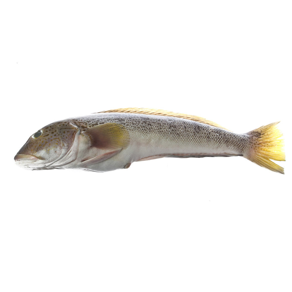 Salmón Blanco Entero Nacional x 1 Kg