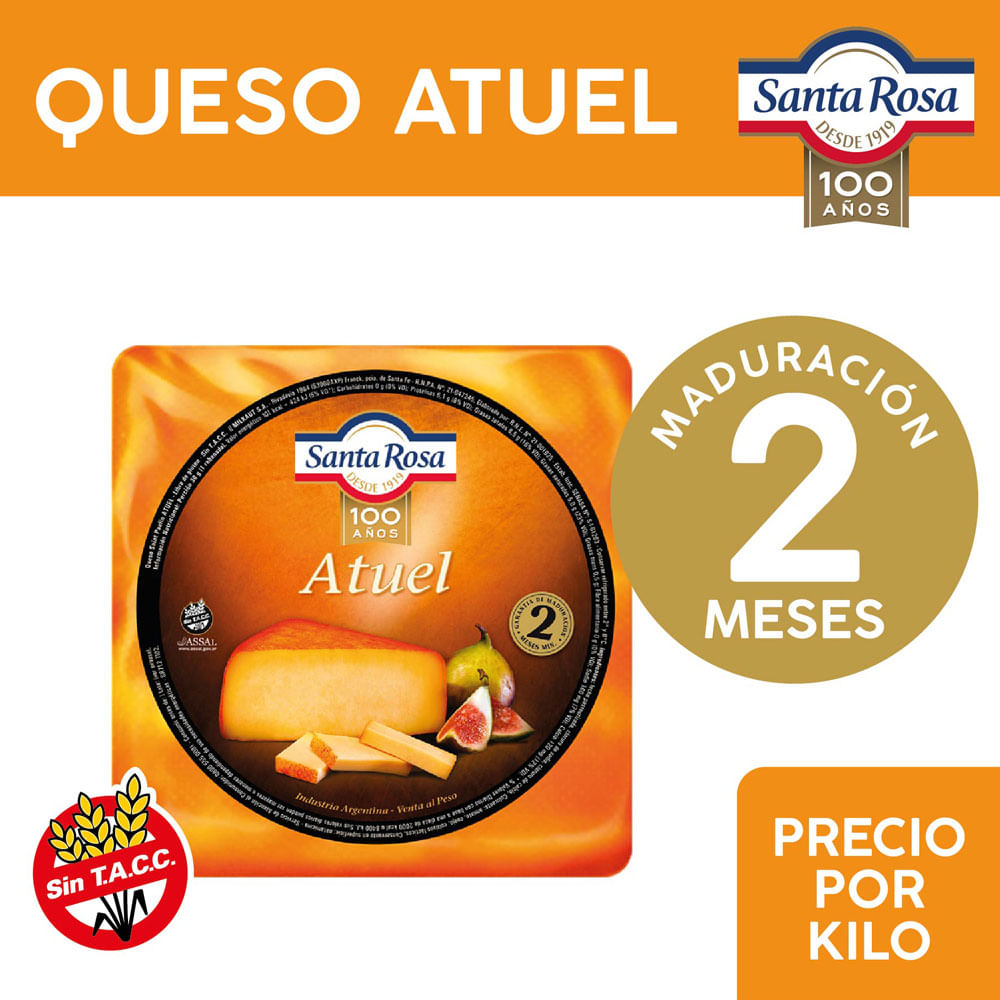 Queso Atuel Horma x 1 Kg Santa Rosa