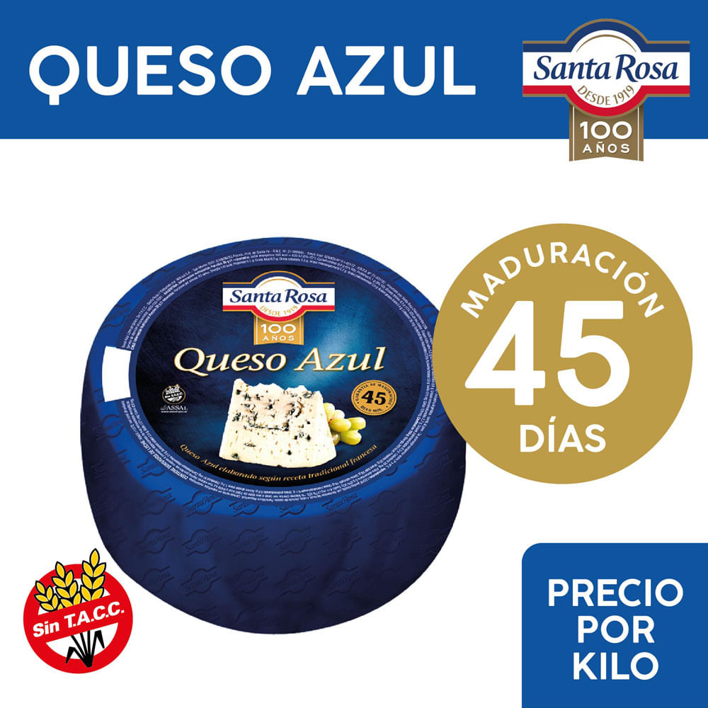 Queso Azul Horma x 1 Kg Santa Rosa