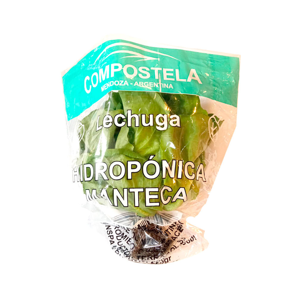Lechuga Manteca Hidropónica x 1 Un