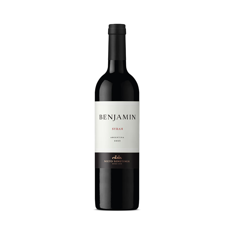 Vino Tinto Syrah 750 Ml Benjamin