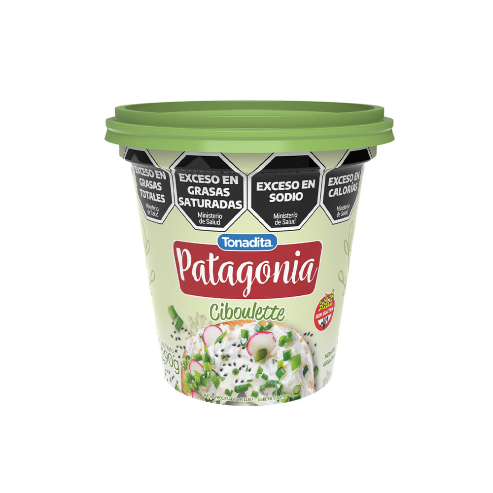 Queso Crema Sabor Ciboulette Familiar x 0.290 Kg Patagonia