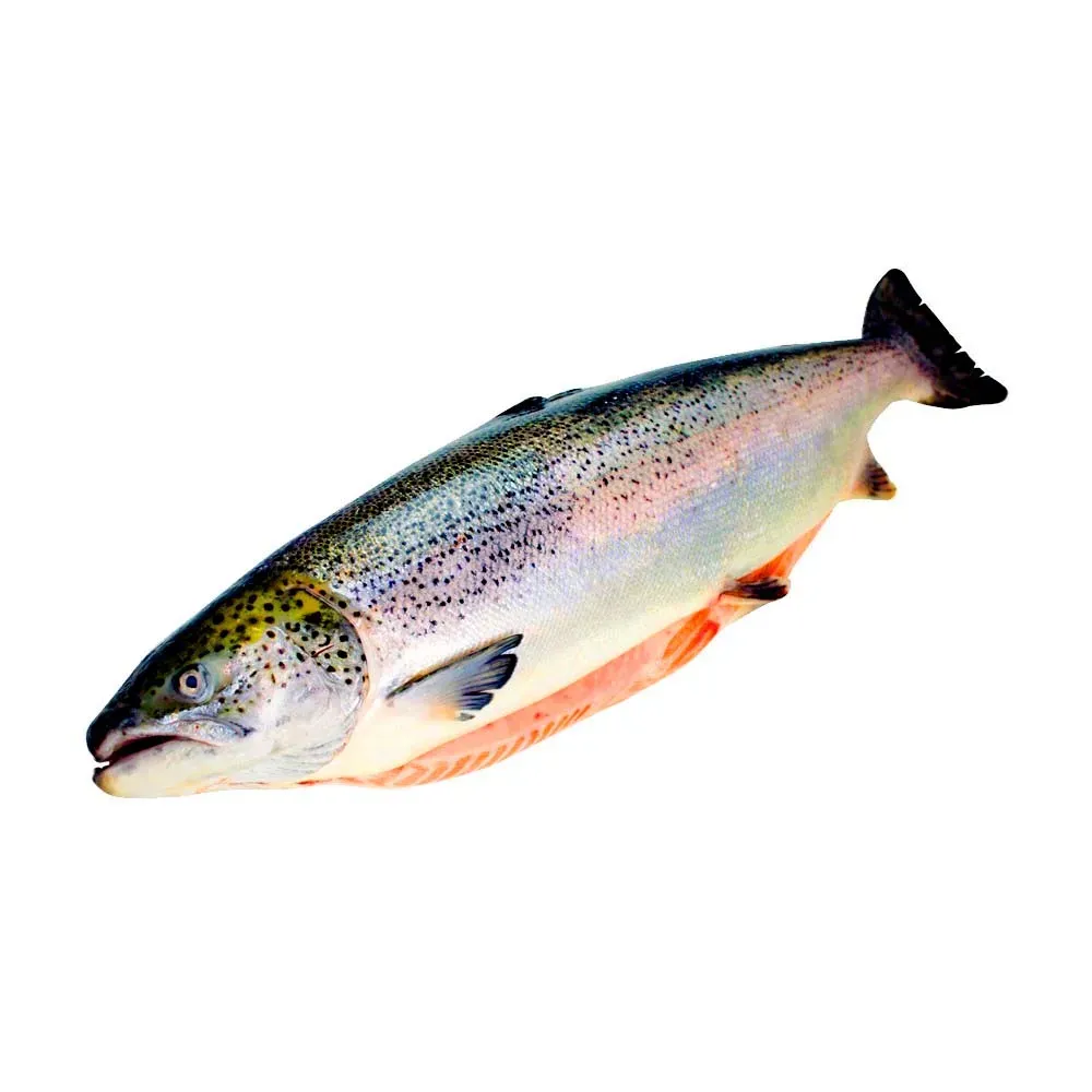 Salmon Rosado Entero Fresco-s/e-kg-1