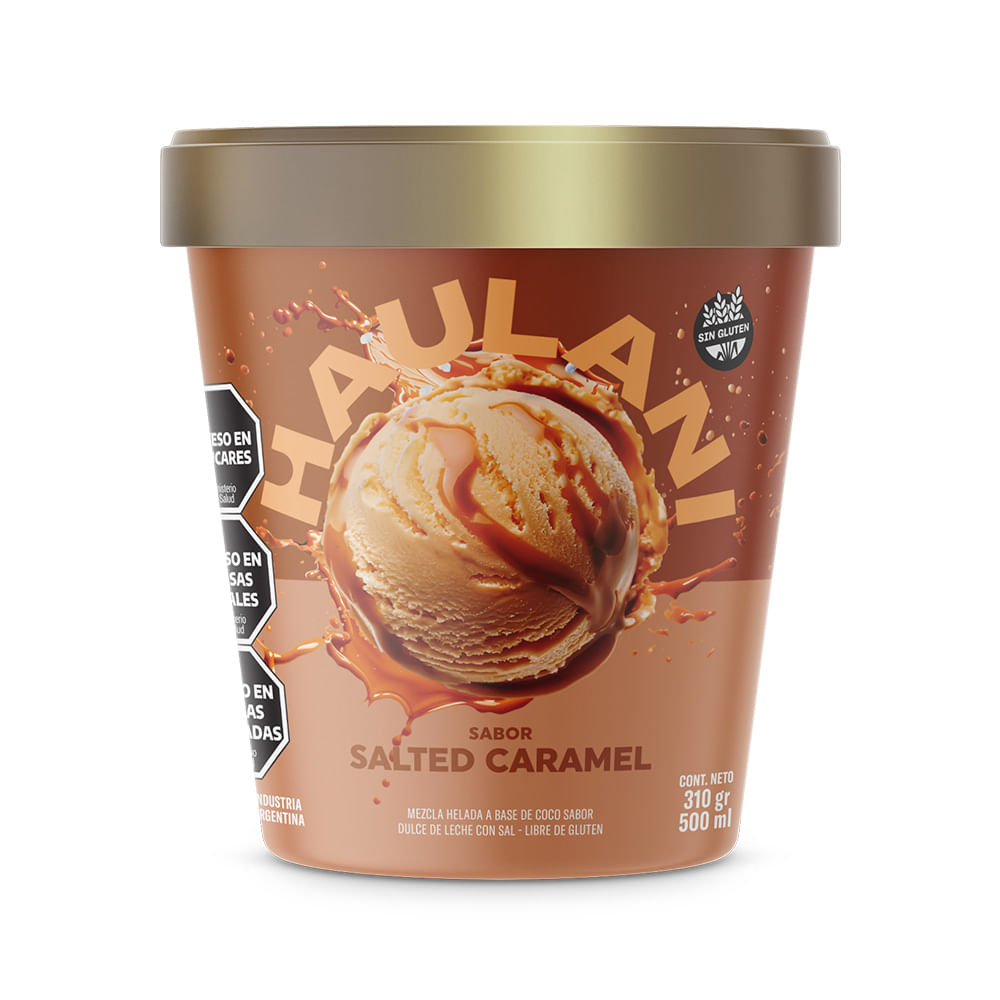 Helado Sabor Salted Caramel 370 Grs Haulani
